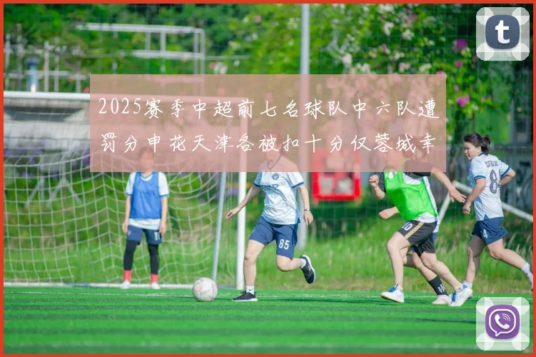 2025赛季中超前七名球队中六队遭罚分申花天津各被扣十分仅蓉城幸免
